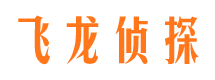 灯塔市场调查